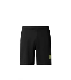 SHORTS THE NORTH FACE COORDINATES BLACK MEN