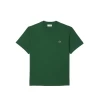 T-SHIRT LACOSTE GREEN MEN -Fashion Sports Equipment Store t shirt lacoste green men